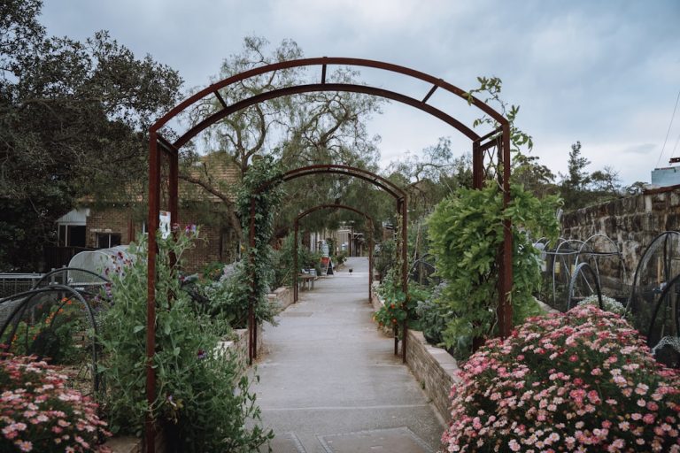 Luxury vs. Affordability: Crafting Your Outdoor Oasis